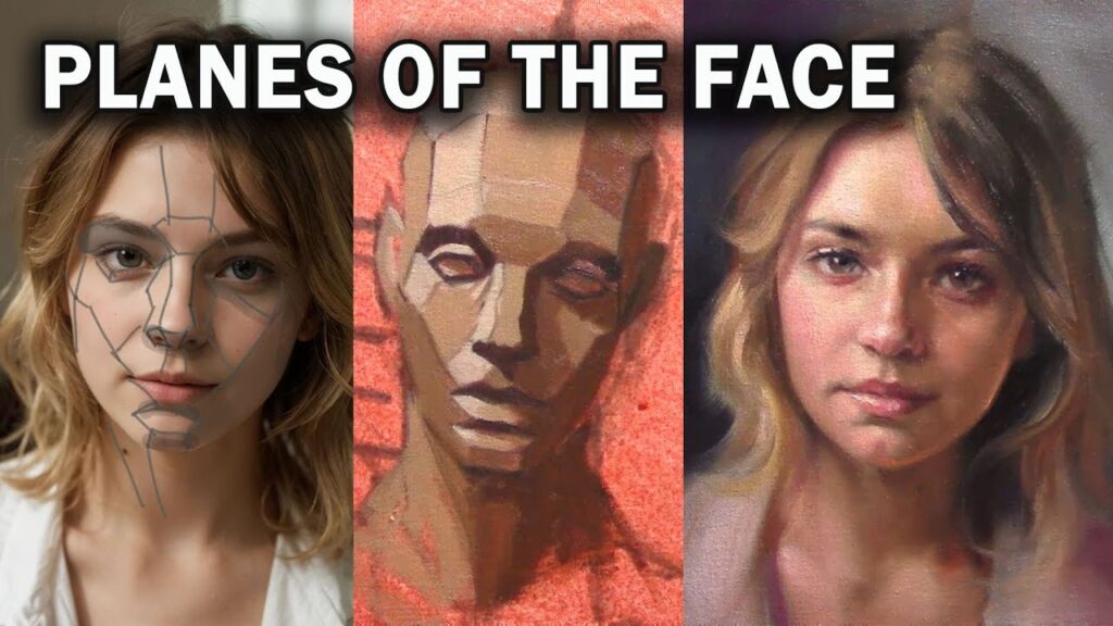 planes of the face