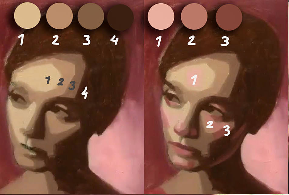 color planes of the face