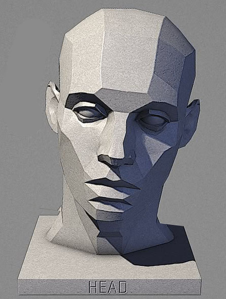 planes of the face