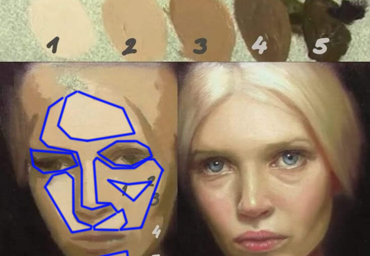 planes of the face